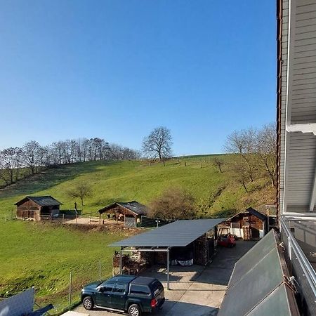 Grosse Tolle 4 Zimmer Ferienwohnung Im Herzen Des Odenwaldes Moerlenbach Экстерьер фото