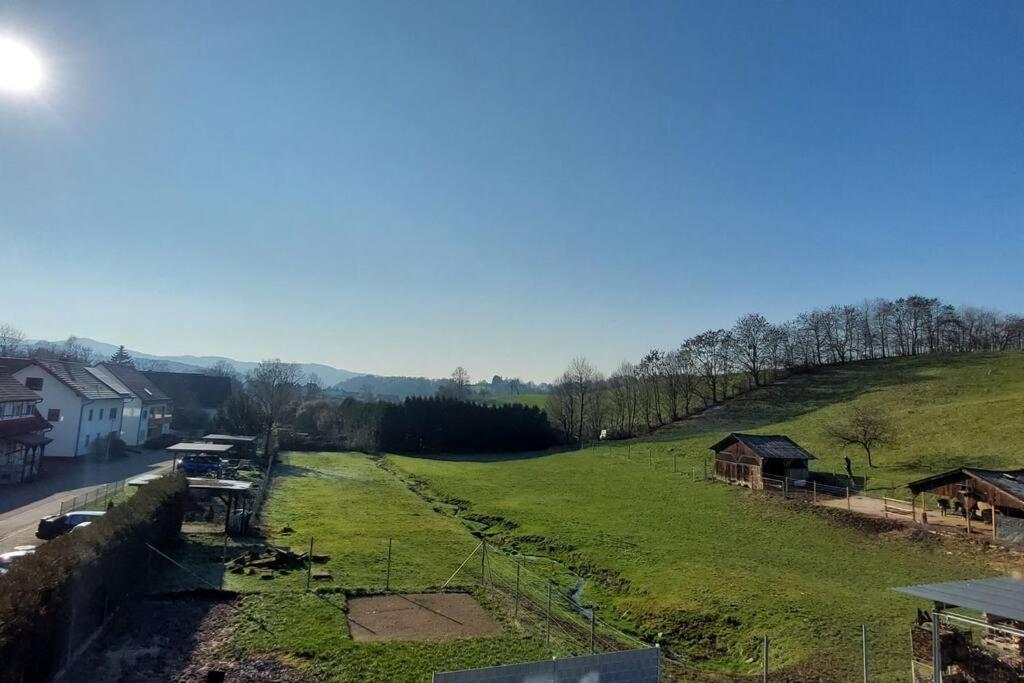 Grosse Tolle 4 Zimmer Ferienwohnung Im Herzen Des Odenwaldes Moerlenbach Экстерьер фото