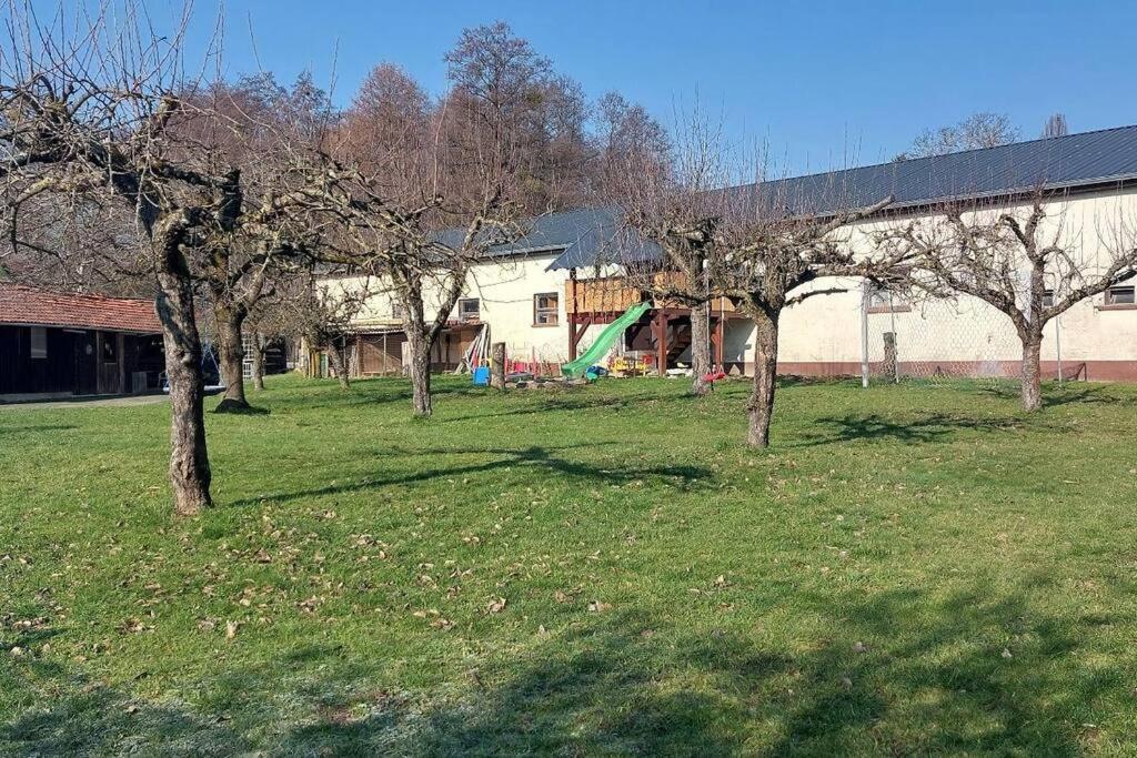 Grosse Tolle 4 Zimmer Ferienwohnung Im Herzen Des Odenwaldes Moerlenbach Экстерьер фото