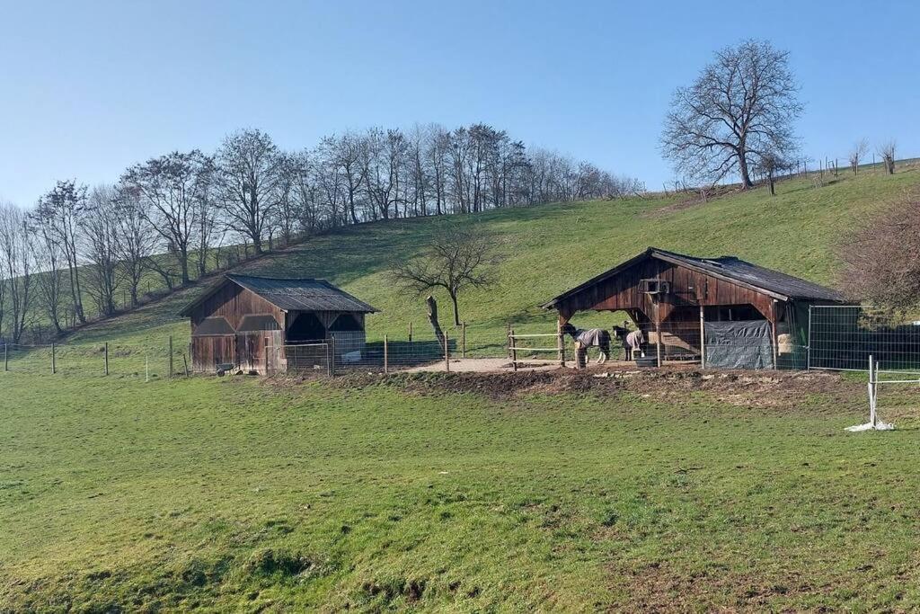 Grosse Tolle 4 Zimmer Ferienwohnung Im Herzen Des Odenwaldes Moerlenbach Экстерьер фото
